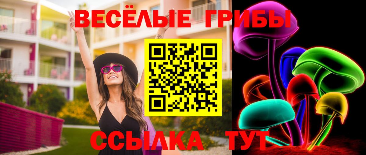 Псилоцибиновые грибы MAGIC MUSHROOMS  Вход с VPN  Татарск 
