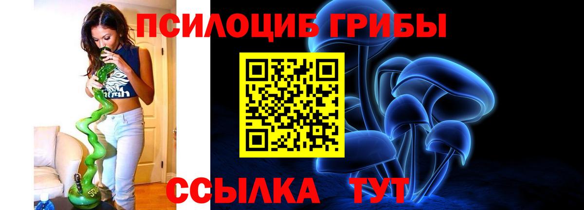 Псилоцибиновые грибы MAGIC MUSHROOMS Татарск